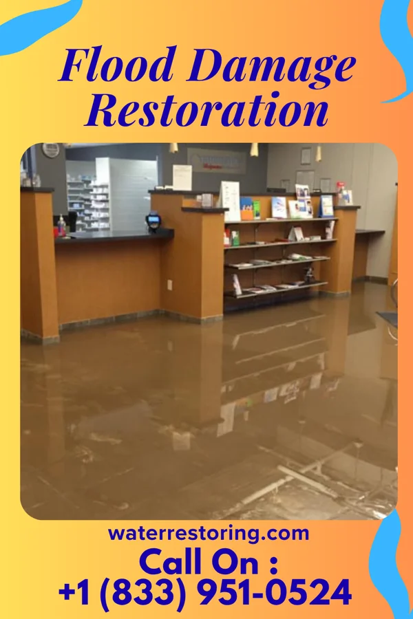 Flood Damage Restoration in Black Hawk, CO